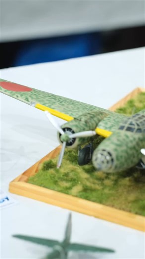Sally on recent E-Day expo #scalemodel #eday #aircraftmodel #modelbuilder #ww2aircraft #bomberaircraft #eduardmodel #detailscaleview | Detailscaleview