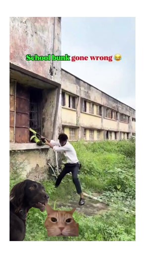 school bunk gone wrong 🤣||funny video#comedy #funny