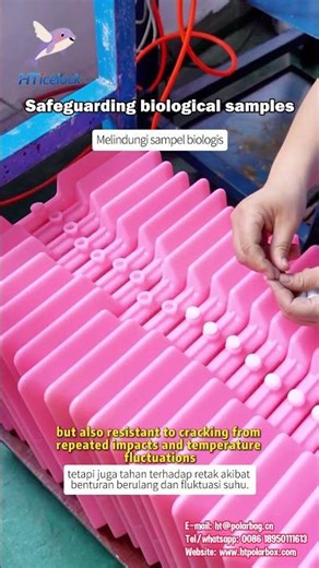 Safeguarding biological samples