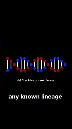 Albert Perry's DNA A Time Capsule of Human History