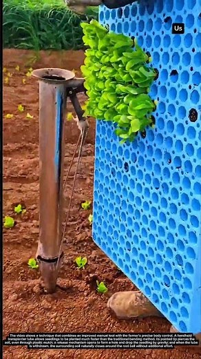 The Art of Precision Planting by Foot