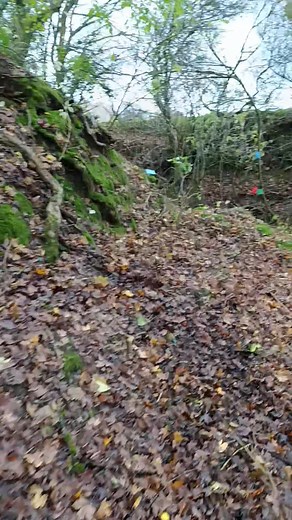 The course plotters have been out this weekend with Dave Fowler Mike Crane sorting out for the Terry cup trial on the 7th December - with the high winds and rain over the last few days we had a bit more clearing and cutting out - it's starting to come together now- if you haven't entered and you want a good, sensible ride round with 38 sections, 8 groups and 22 miles entries are at www.mc-trials.co.uk David Smith Sallie Davis-smith | Redditch Motor Cycle Club