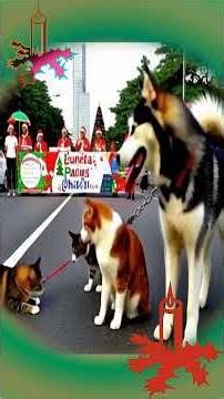 Petlovers 4 Christmas #husky #funny #cute #ai #christmas #petlovers
