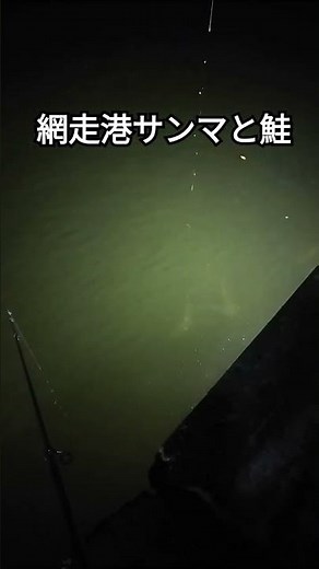 #2023.11.3 #サンマ　#鮭　#網走港　#釣り