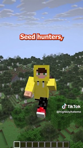 Can You Find This Minecraft Seed?