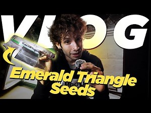 Growing Seeds From California's Emerald Triangle?!