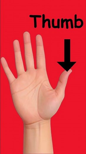 Finger Names in English | Learn Hand Parts for Kids | Educational Video