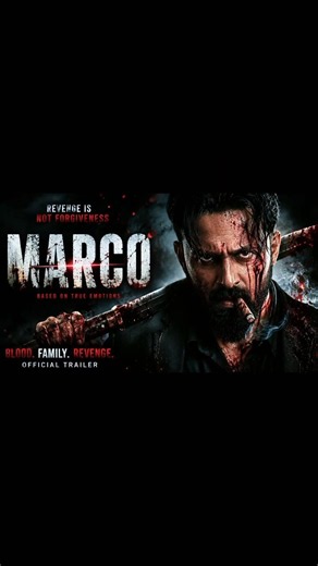 Marco Full Story in Hindi | Action Movie Explained🔥|