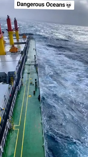 تلاوتِ قرآن on TikTok