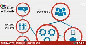 API là gì?