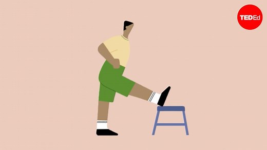 How stretching actually changes your muscles