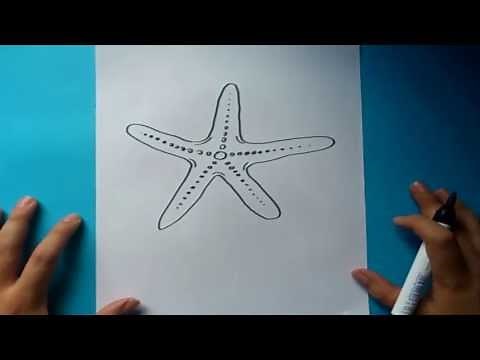 How to draw a starfish step by step | How to draw a starfish