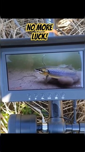 fishing with underwater camera! #fishing #trout #underwater