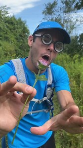 My impressions of the different types of hikers you might encounter on a hiking trail. | Daniel LaBelle