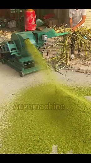 Preparation of Pig Feed using Superfine Grass Mill