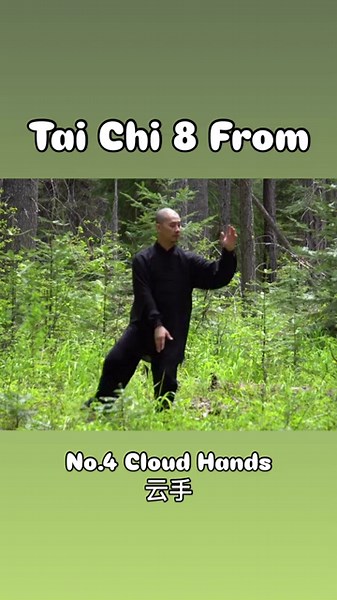 No.2 Cloud Hands-Tai Chi 8 Form #taichi #kungfu #taiji #qigong #balance ￼