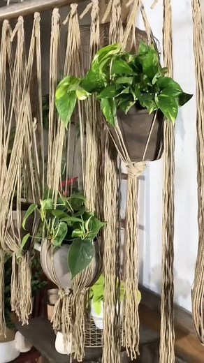 9.5K views · 131 reactions | A new way to swing from an old hammock! PLANTERINA! #plants #indoorplants #planter #diy #planterina #satisfying #plantcare #fbreels #reels | Planterina | Facebook