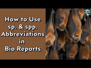How to Use sp. and spp. Abbreviations in Bio Reports