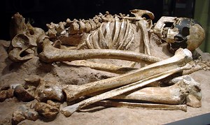 Reconstructing a 10,000-Year-Old Mesolithic Woman: Where Science Meets Art and Human History