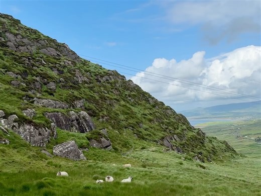 Paper Paintings Collage Artwork on Reels