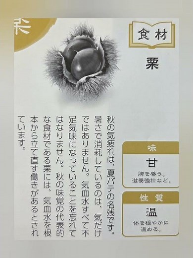 【救心感応丸氣】気血水を根本から立て直す/栗/くり/漢方相談➂ #救心感応丸氣 #救心製薬 #不安 #心配 #鬱#下痢#どうき#気つけ#息切れ#京都女性漢方まつみ薬局 #shorts