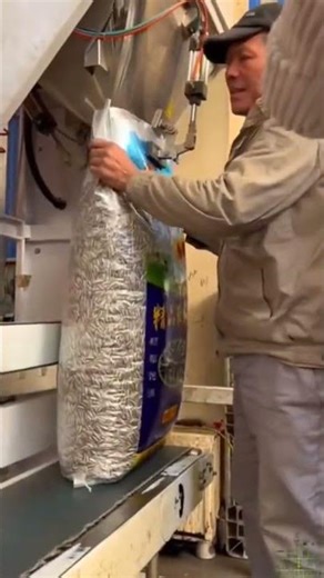 The Full Production Process Explained #machine #factory #process #stamping