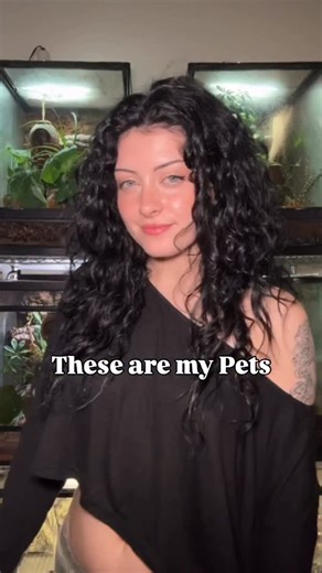 Inspire Exotics • Exotic Pet Content Creator on Instagram: "Meet my Pets: Part 2 . . . . . . #girlswithreptiles #exoticpets #animallover"