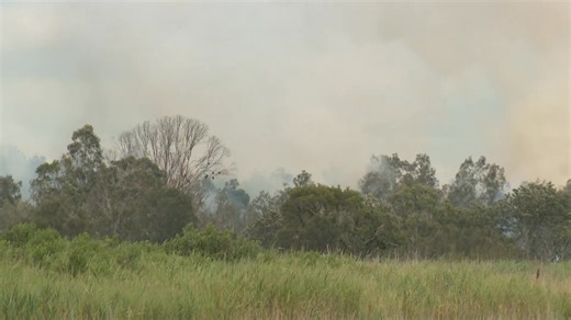 Here's your 10 News Queensland update with Sharyn Ghidella for Tuesday January 27: - Two people have been killed in a plane crash near an airstrip at Jacobs Well on the Gold Coast. - More than half a million Queensland children have gone back to school. - And 18,000 homes and businesses across south east Queensland lost power last evening. | 10 News Queensland
