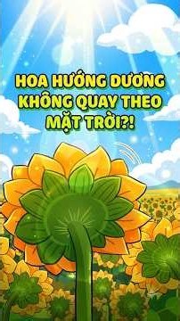 Sunflowers DON'T Follow the Sun?!....#gaubuaday #chinesianimation