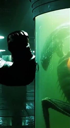 The Forbidden Experiment: Shattering the Alien Tank#predators #predatorvsprey #xenomorph #avp