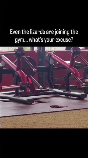 what are your excuse? #shortvideo #viralvideo #funnyvideo #trending