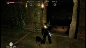 Fable 2 The Wreckager