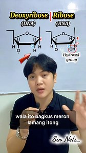 4.2K views · 58 reactions | ka-SCI_Yan ! Deoxyribose Vs. Ribose #science #GenEdScience #GenEd #teacherreels #generalscience #LETReview #DNA | ReviewTayo.Sci+ | Facebook