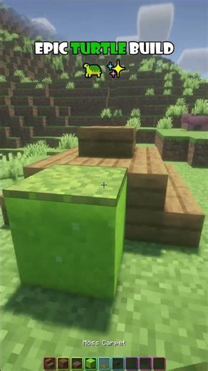 EPIC TURTLE BUILD 🤯 #shorts #minecraft