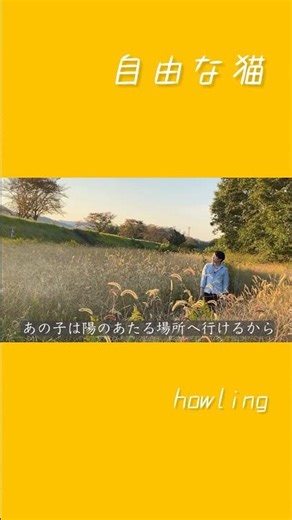 ソングライター howling オリジナル楽曲 曲紹介S動画 origin ss 自由な猫 #howling #楽曲制作 #2ndalbum