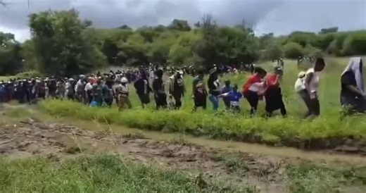 The South African National Defence Force (SANDF) has arrested 1,174 undocumented migrants who were attempting to cross into South Africa from Zimbabwe during a border security operation. The operation turned tense when some of the migrants allegedly became aggressive upon interception. During the confrontation, one SANDF soldier was stabbed and sustained injuries. The injured member was rushed for urgent medical treatment, and authorities confirmed that the soldier is receiving Medicaid. Securit