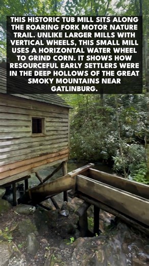 This video shows the historic Reagan Mill from a warmer season. Finding distinct history in the Great Smoky Mountains National Park often means taking the scenic route. The Alfred Reagan Mill is a unique structure known as a tub mill. It operates with a horizontal water wheel underneath the floor rather than the large vertical wheels seen elsewhere. It was efficient enough to grind corn for the local community in these isolated hollows. The mill is located along the Roaring Fork Motor Nature Tra