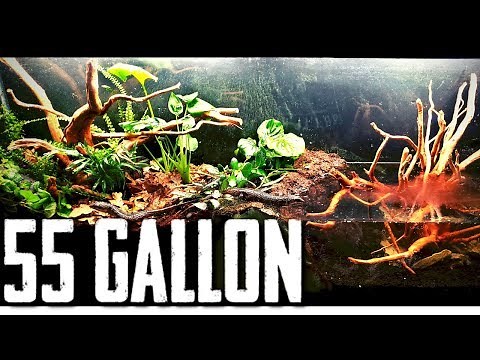 Water Skink Paludarium