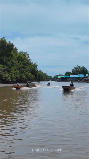 🌿🐒 Klong Kone Swimming Monkeys & Mangrove Forest 🐒🌿 Step into nature’s wonder at Klong Kone, where playful monkeys swim and explore the mangroves alongside you. A private boat ride takes you through lush forests, calm waters, and close encounters with these unique creatures. ✨ A rare experience combining wildlife, adventure, and serenity. #OrientalEscape #ThailandPrivateTour #KlongKone #SwimmingMonkeys #MangroveAdventure | Oriental Escape
