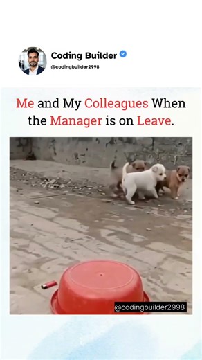 When Manager on leave 😁 #manager #leave #funday #masti #office #python #memes #funny #employees #php