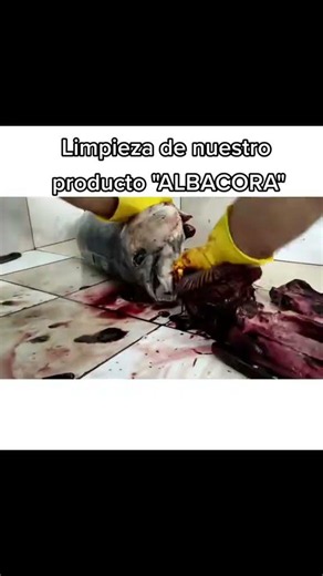 Limpieza de ALBACORA 🎣