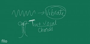 \text { Chapter - } 12SoundCONCEPT MAPPING RudibussundSound... | Filo