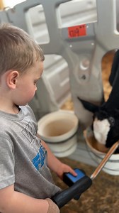 1.8K views · 3.2K reactions | I had an extra helper tonight feeding calves! | Megan DairyGirl | Facebook