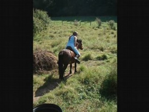 L'amour entre une cavalière et son poney