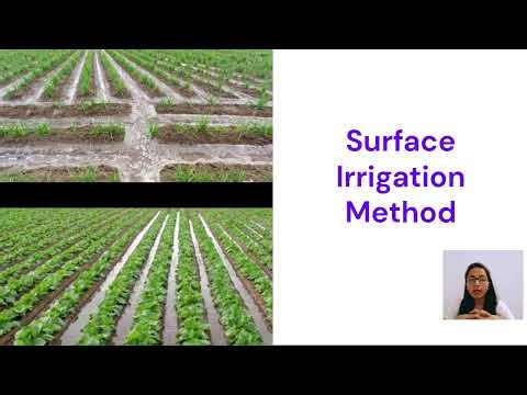 Surface irrigation Method- Check Basin | L1 | #civilengineering#agriculture#pumpr#irrigation #engg