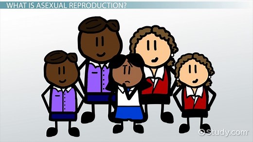 Asexual Reproduction Lesson for Kids