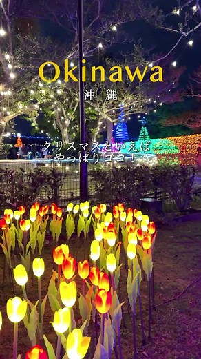 クリスマスファンタジー🎄 ▶︎ @okinawa_tsukikonouta あとで見返すなら保存が便利✎𓈒𓂂 ⁡ 📍沖縄こどもの国 「クリスマスファンタジー」 12/21~12/31 13:00〜21:30（最終入場21時） 12/31年末カウントダウンは 16:00〜25:00（最終入場24時） 沖縄のクリスマスの定番は やっぱりここ🎄 17時くらいに着いたけど 駐車場はいっぱいで臨時駐車場に！ 夜から行く方は最初から臨時駐車場に行った方が 早いかも🚗 （臨時駐車場:沖縄市役所、旧徳洲会病院） シャトルバスあり。 ステージのところの屋台は長蛇の列なので 入り口付近の屋台で買うのがおすすめ♪ 連日アーティスト多数なのでHPでチェック必須♪ ┈┈┈┈┈┈┈┈┈┈┈┈┈┈┈┈┈┈┈┈.*˚ 【沖縄こどもの国】 住所：沖縄県沖縄市胡屋5-7-1 ┈┈┈┈┈┈┈┈┈┈┈┈┈┈┈┈┈┈┈┈.*˚ ┈┈┈┈┈┈┈┈┈┈ ☾ ☽ ☾ ┈┈┈┈┈┈┈┈┈┈ 沖縄県民が沖縄グルメやカフェ、絶景スポット、 ホテルを紹介しています🐰 @okinawa_tsukikonouta 飲食店、ホテル、