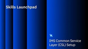IMS Common Service Layer Setup