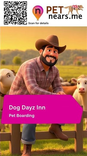 Dog Dayz Inn - Pet Boarding Service in Vestal, New York | Pet Near Me 60