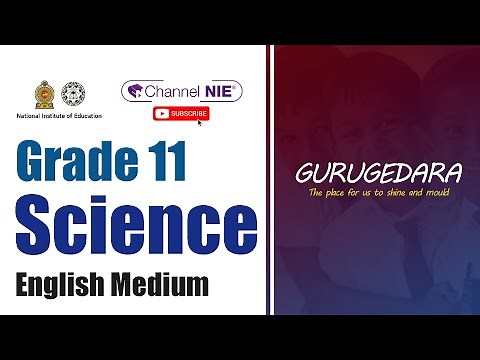 Grade 11 - Science (English Medium)